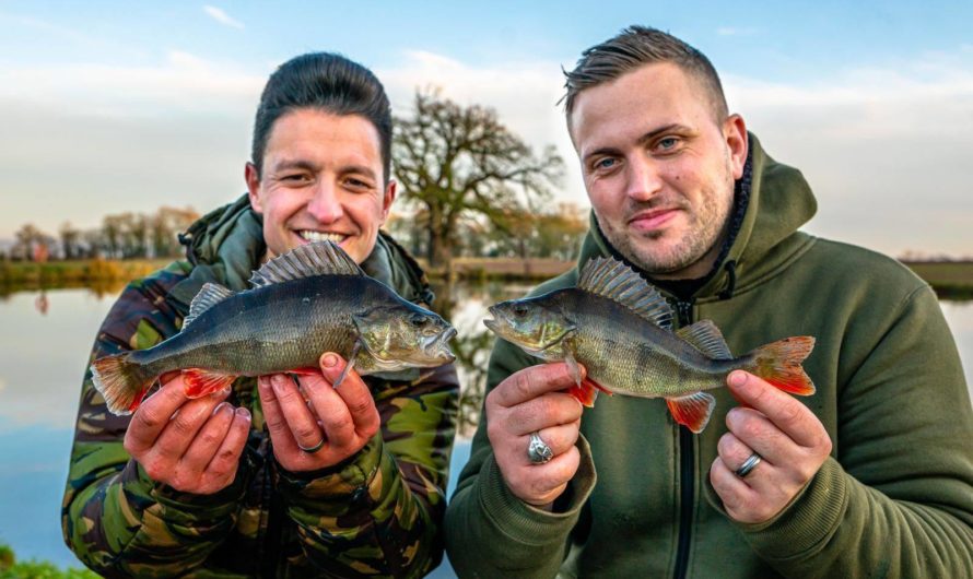 Take A Friend Fishing – FREE FISHING DAY-LICENCE!